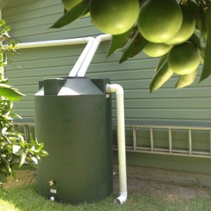 Dark Green 500 gallon rainwater collection tank install